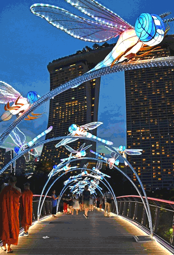 سفارش طراحی المان زیباسازی