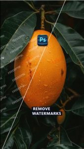 کلاس خصوصی فتوشاپ